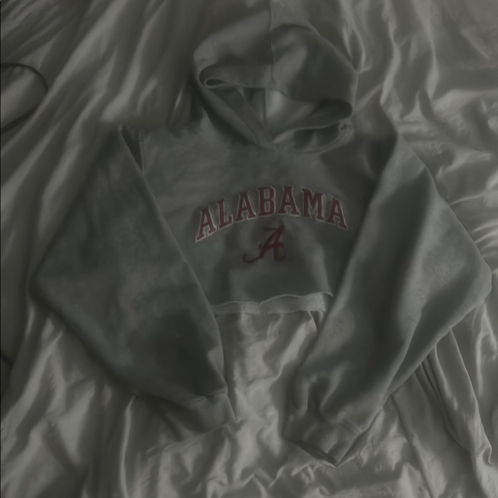 Gray Alabama Cropped Hoodie
